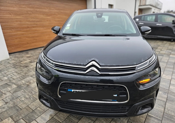 Citroen C4 Cactus cena 25900 przebieg: 160000, rok produkcji 2018 z Września małe 121